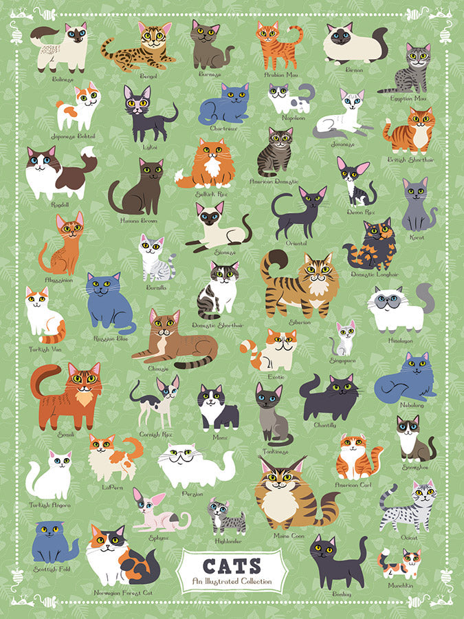 その他 Cats Illustrated Cats - NEW Packaging! – True South Puzzle Company