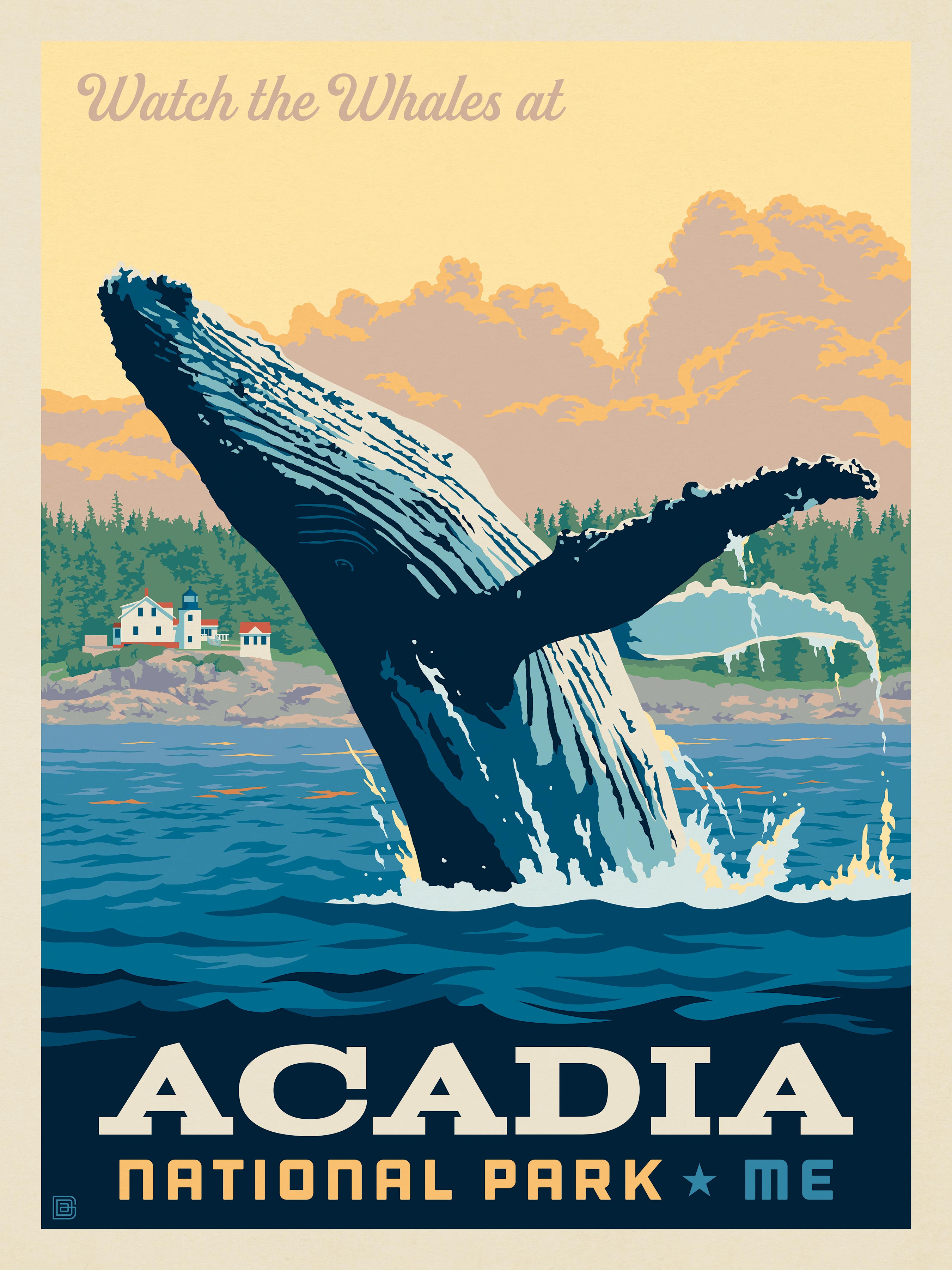 Acadia National Park - Whale Watching – True South Puzzle Company