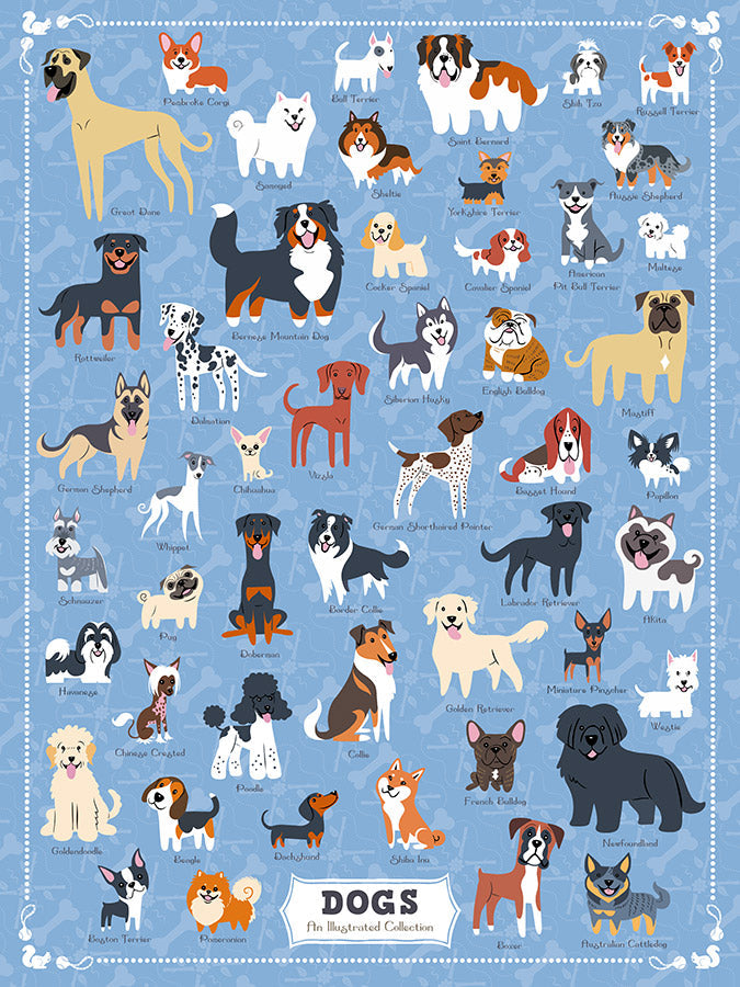 Illustrated Dogs - NEW Packaging!