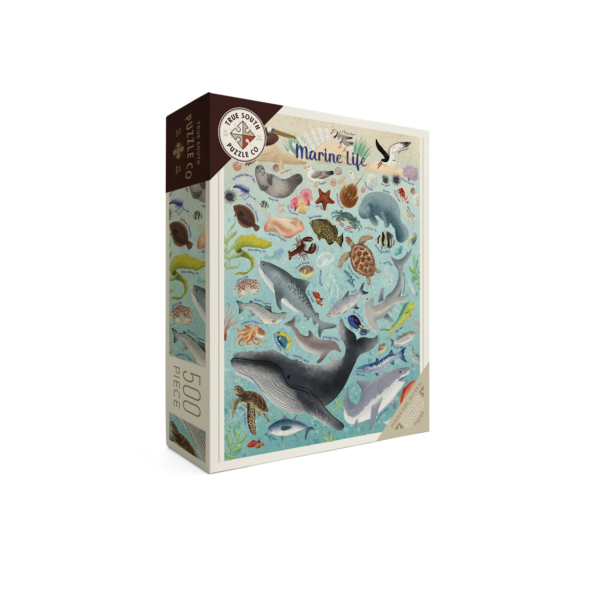 その他 Marine Life [DVD] Amazon.com: Animal Life in Action - Marine & Other Invertebrates