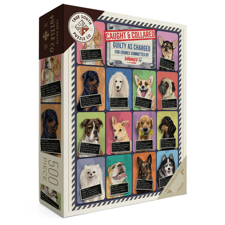 Caught and Collared Dogs