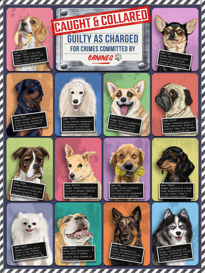 Caught and Collared Dogs