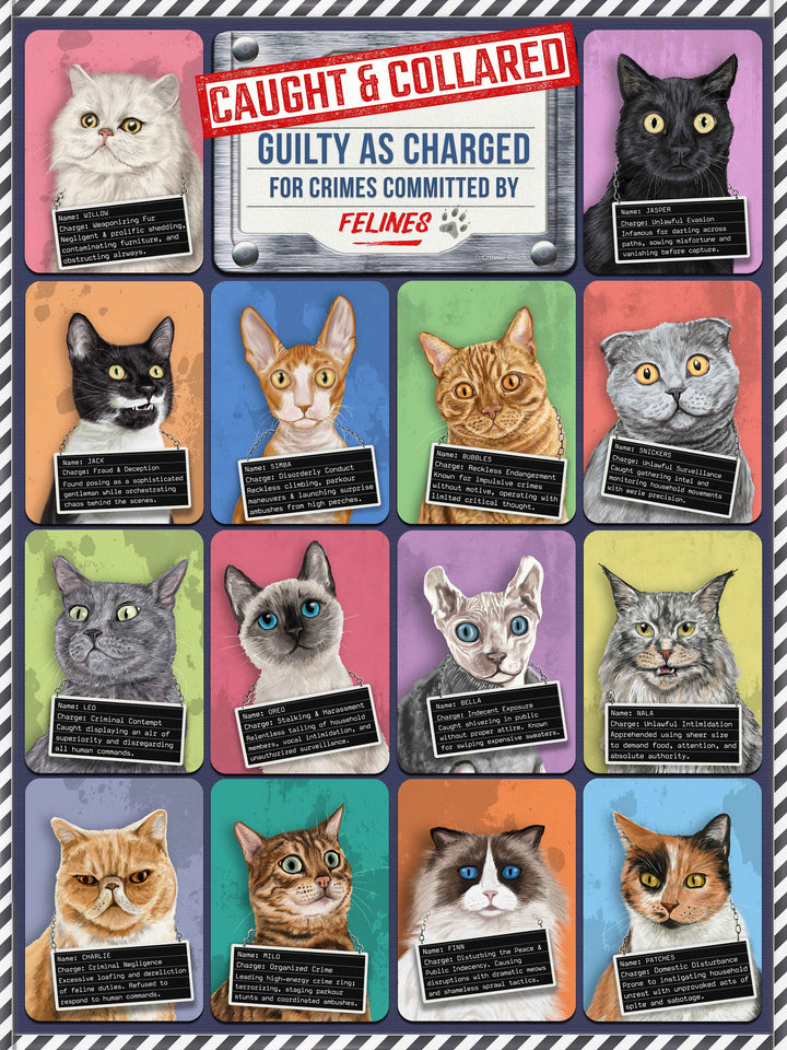 Caught and Collared Cats