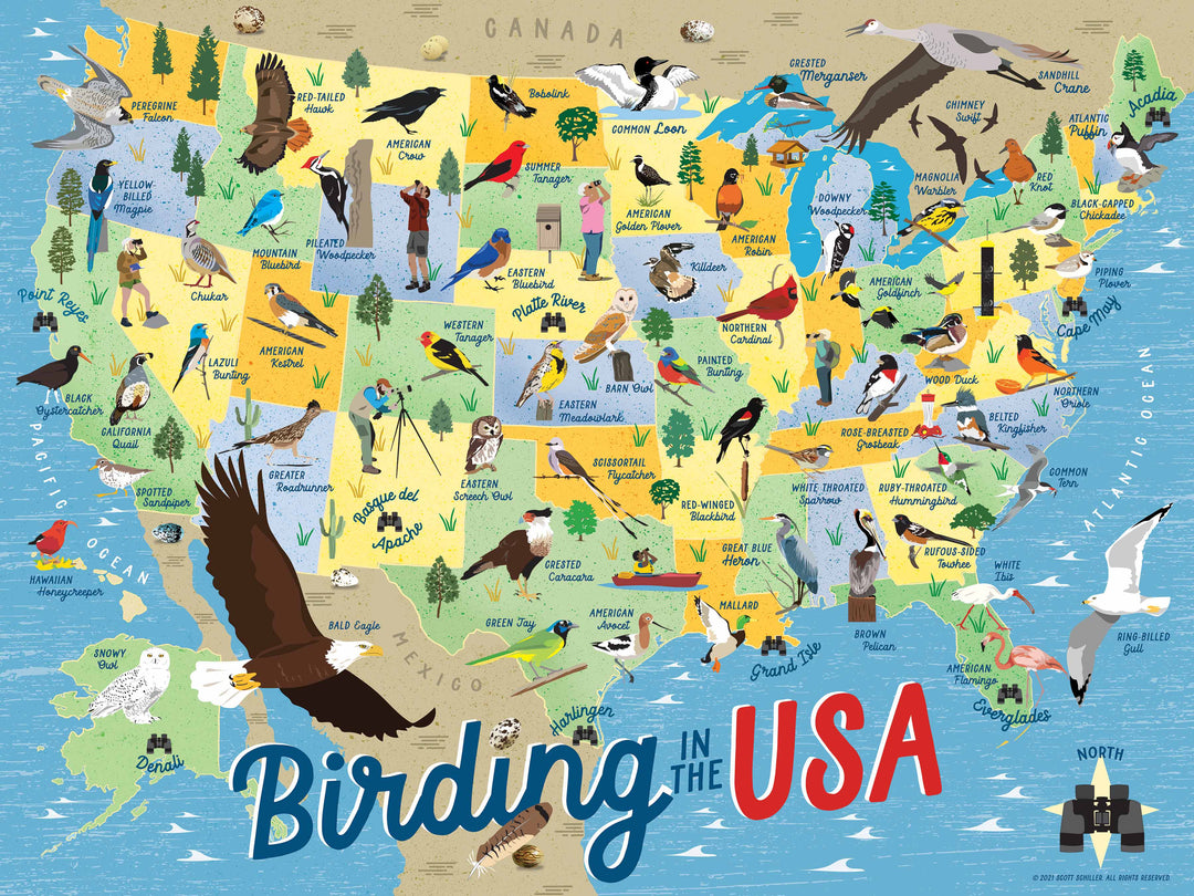 Birding in the USA Jigsaw Puzzle