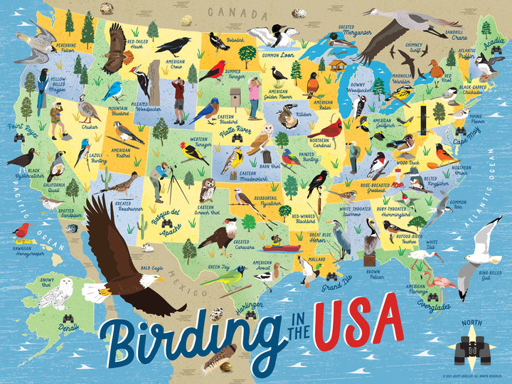 Birding in the USA Jigsaw Puzzle
